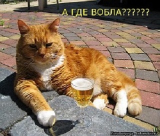 Затарились вечером случайно!