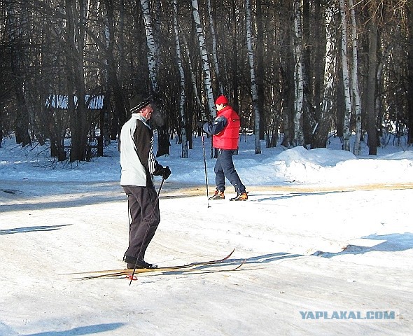 Праздничные хроники в лицах