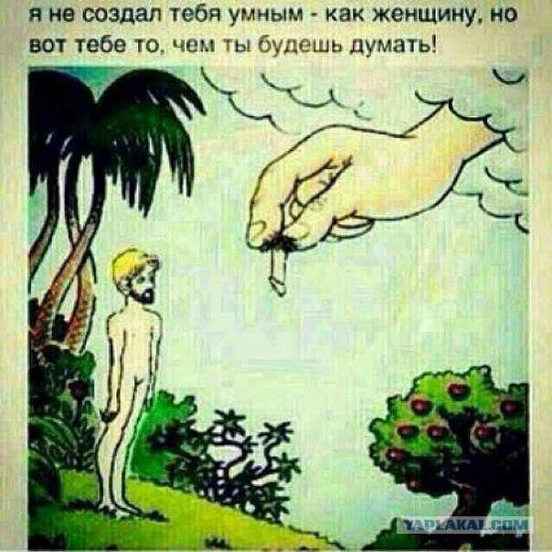 Картинки из этих ваших интернетов