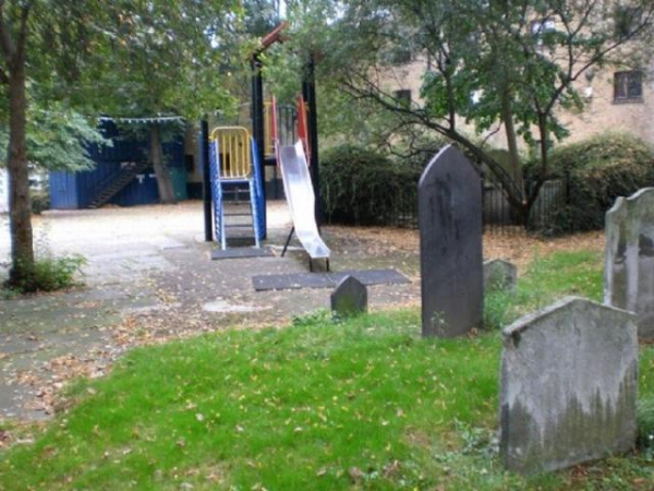 Весёлые картинки