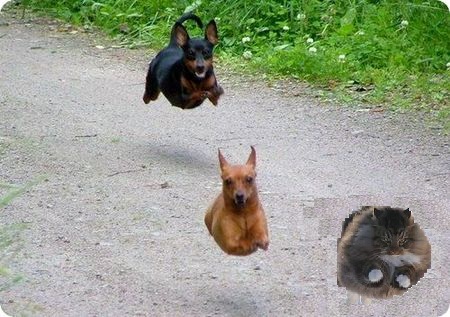 Ну очень жабельно