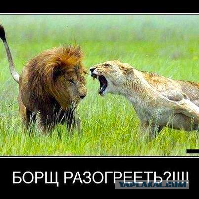 Смешные картинки - женская логика