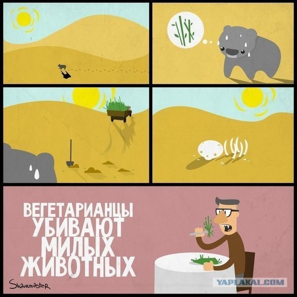 Смешные картинки из сети