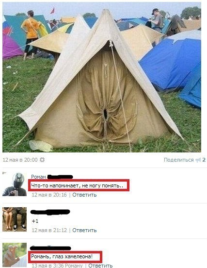 Прикольные картинки из сети