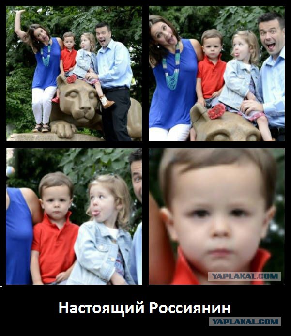 Сборная солянка
