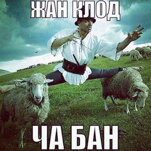 Подборка прикольных фото на пятницу