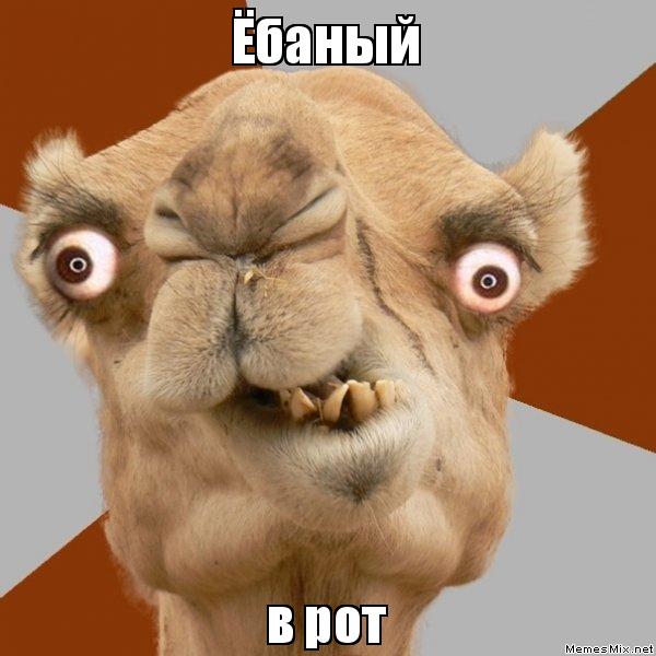 Какое же?