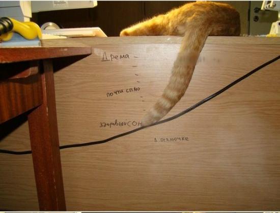 Разные картинки