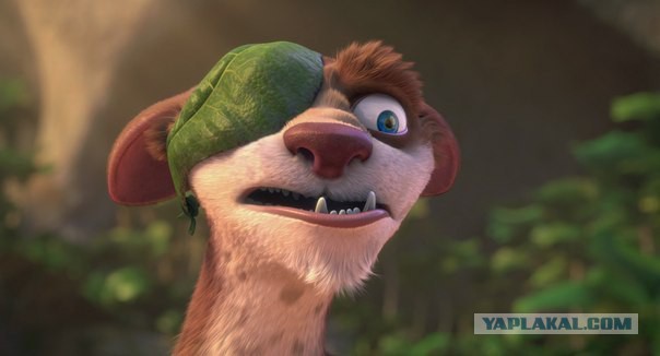 Одноглазый кот-пират по кличке Уэсли