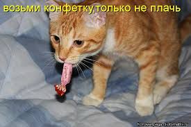 Про Бога