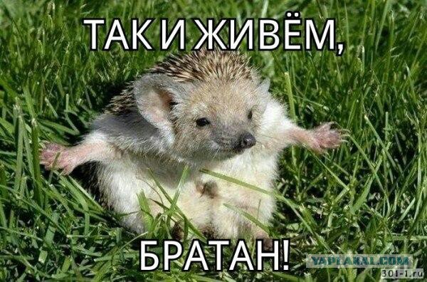 Всё нормально и никакого айсберга нет, - говорили они