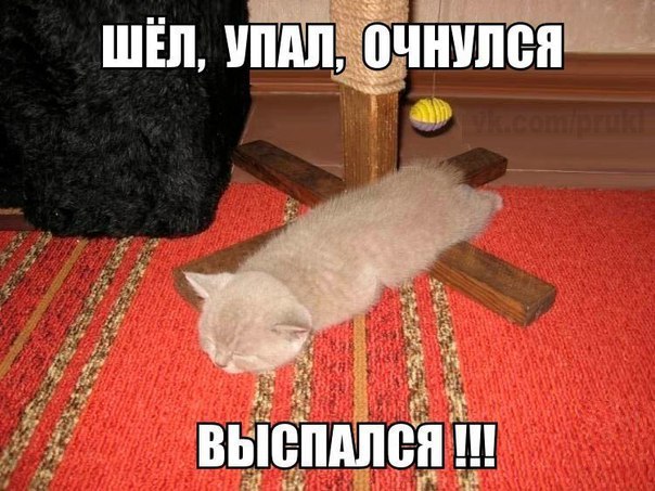 Веселые картинки