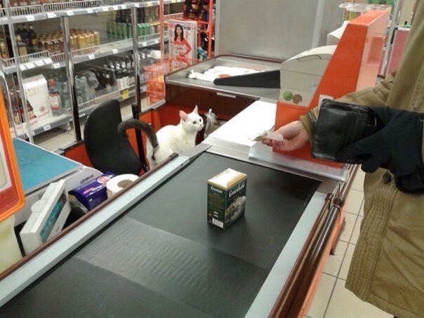 Подборка картинок