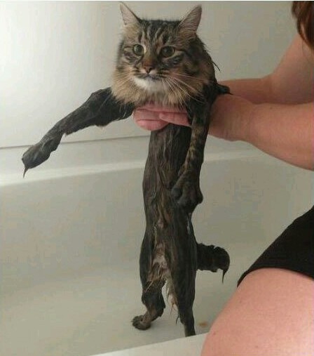 Абсурдный юмор ч.7