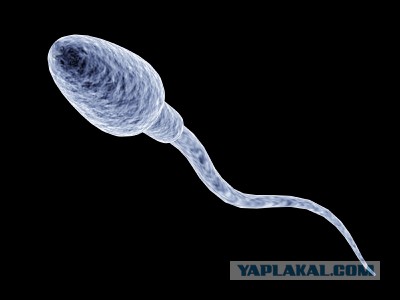 Женщина изменила свои гены, чтобы быть вечно молодой