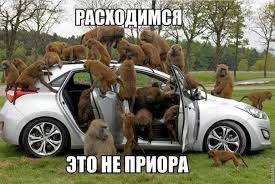 ВЦИОМ: У преступности нет национальности или "рафик опять нивиноуен"