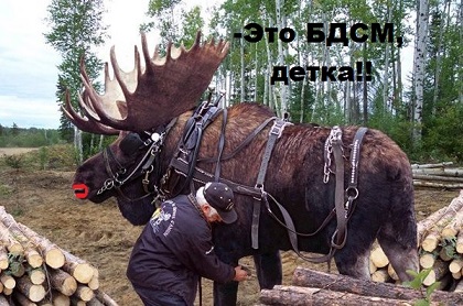 Картинки из Интернетов