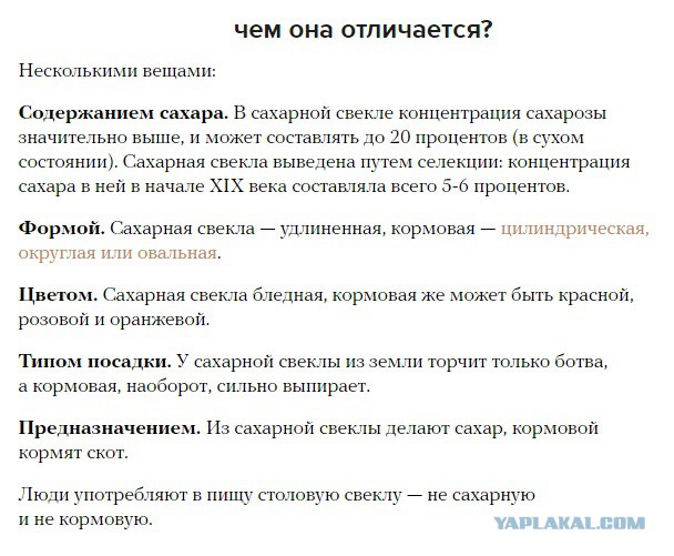 Джордано Бруно нашего времени