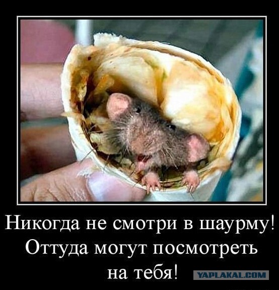 Шаурма