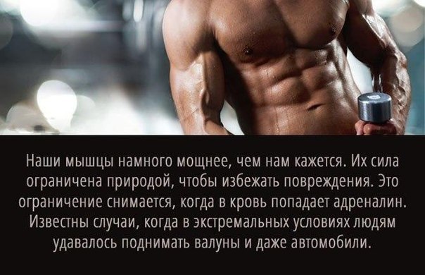 Интересные и веселые картинки