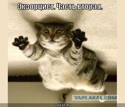 Спасите нас! Как жильцов терроризирует агрессивная пенсионерка.