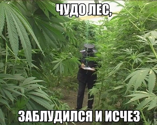 Подборка интересных и смешных картинок