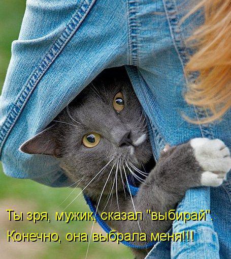 Мохнатые беспредельщики