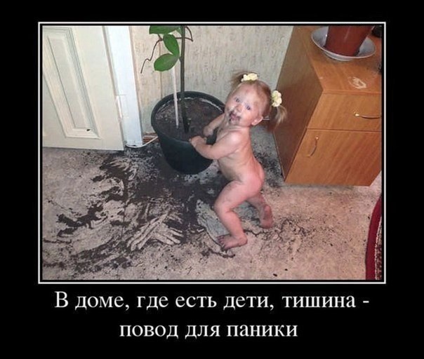 Порция картинок из сети