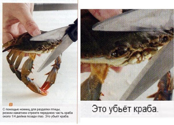 Странный альтернативный юмор