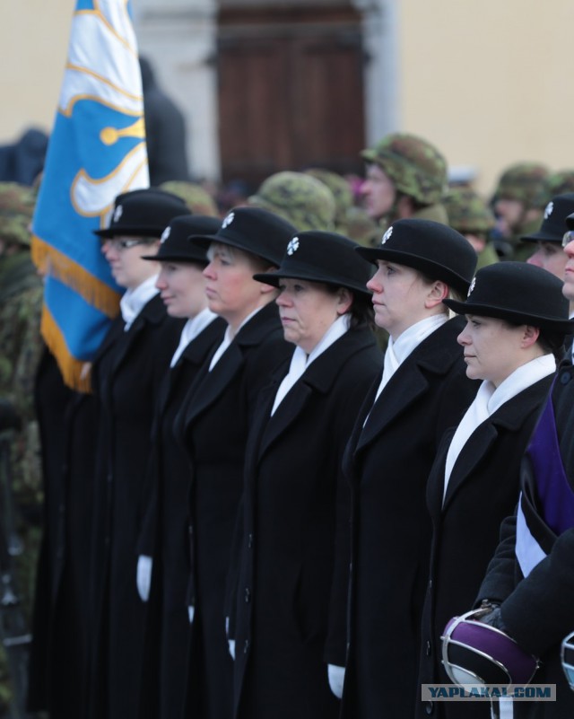 День независимости Эстонии. Военный парад 2017