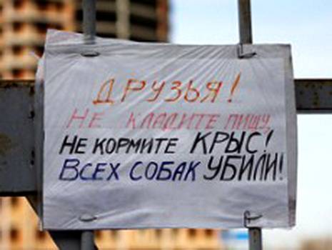 Напала стая собак. Как становятся догхантерами