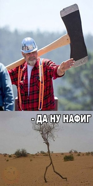И еще немного картинок...
