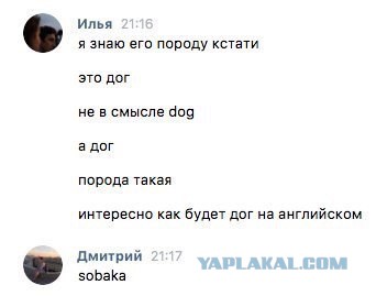 Смешные комментарии из социальных сетей 07.07.2017