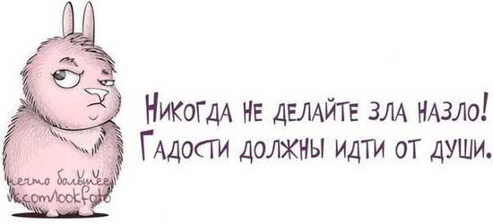 Подборка интересных и веселых картинок