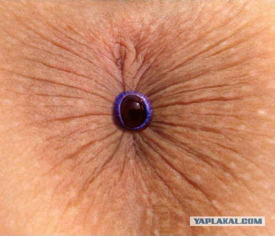 Maedchen Anus Brustwarzen Doppelter