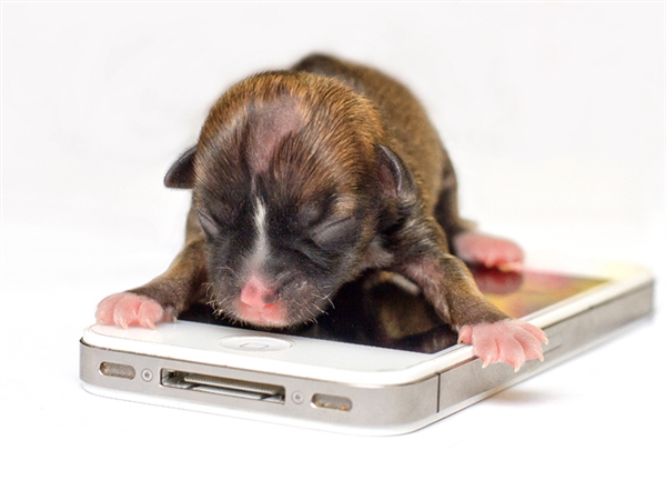 Чудо под названием жизнь!