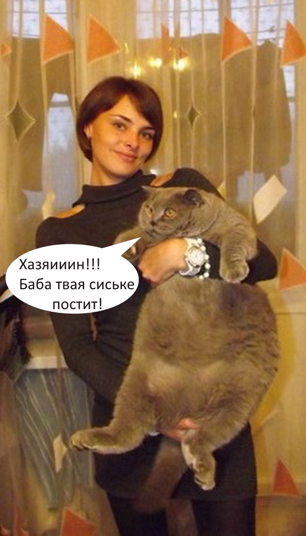 Семейная традиция
