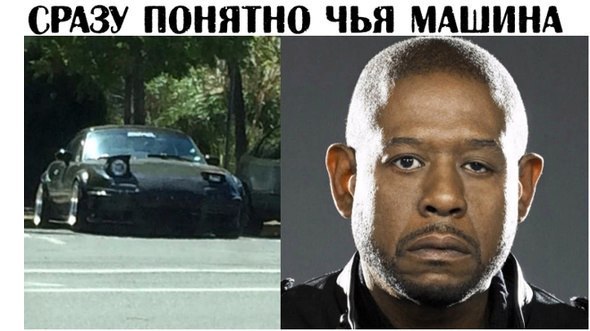 Чуток картинок 07.02.20.