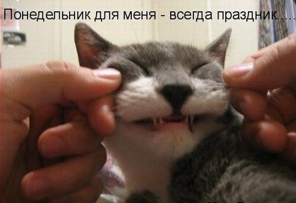 Чуток картинок.  Вечерние