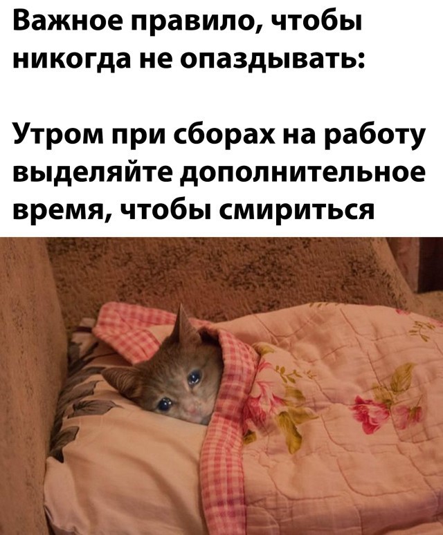 Картинки всякие