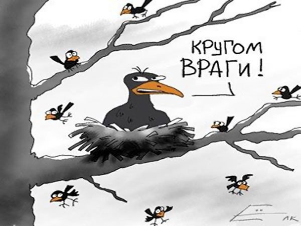 Живущий в Германии россиянин показывает, как в этой стране живёт средний класс