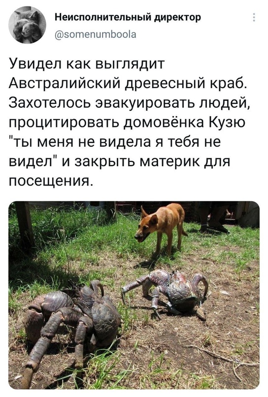 Весёлый полтишок 25.05