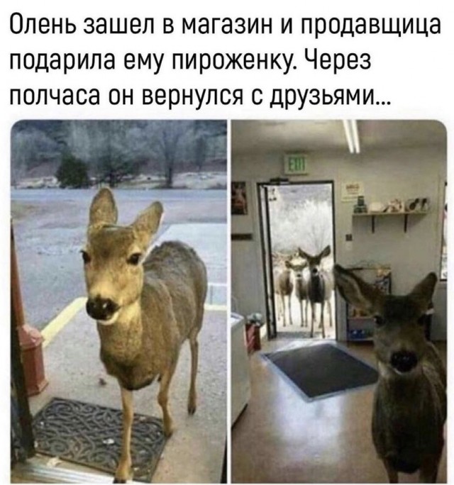 Картинки и мемы для настроения 30.09.2021