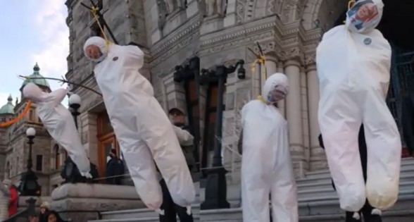 А ведь так будет и в России! Поддержим канадских антифашистов!