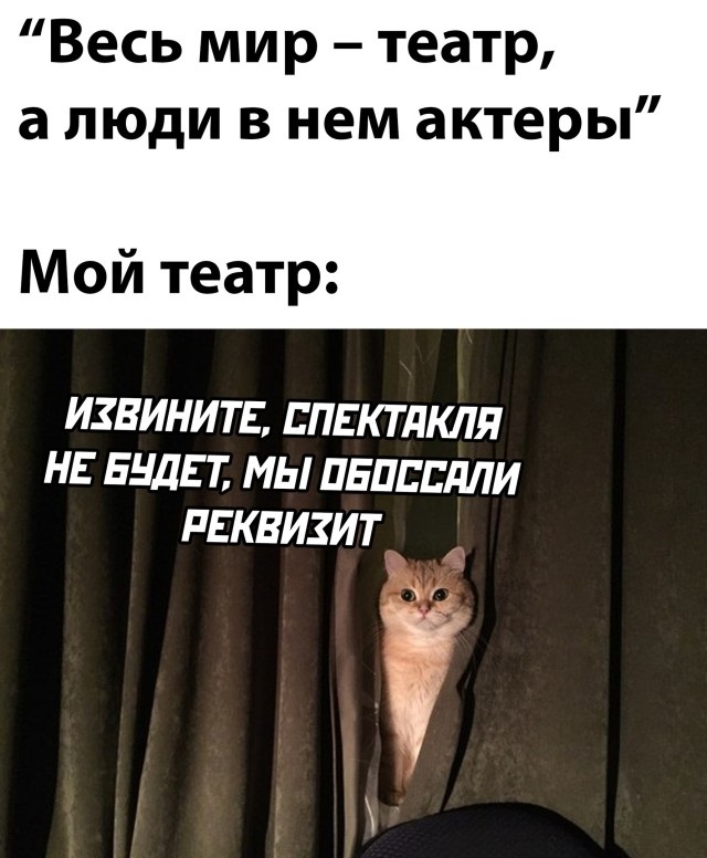 Утренняя подборка картинок и мемов - 8