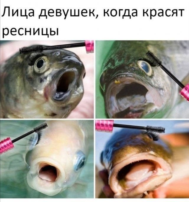 Картинки и мемы для настроения - 29