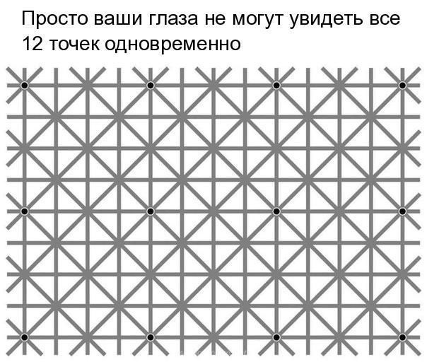 Так себе картинки 13.07.22