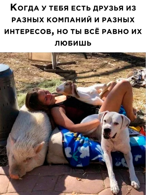 Немного картинок для настроения - 125