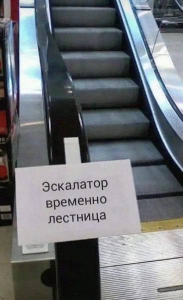 Перлы - 15.01.2023