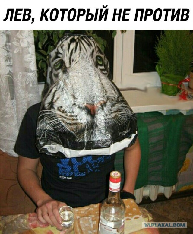 Дристоль два ноль